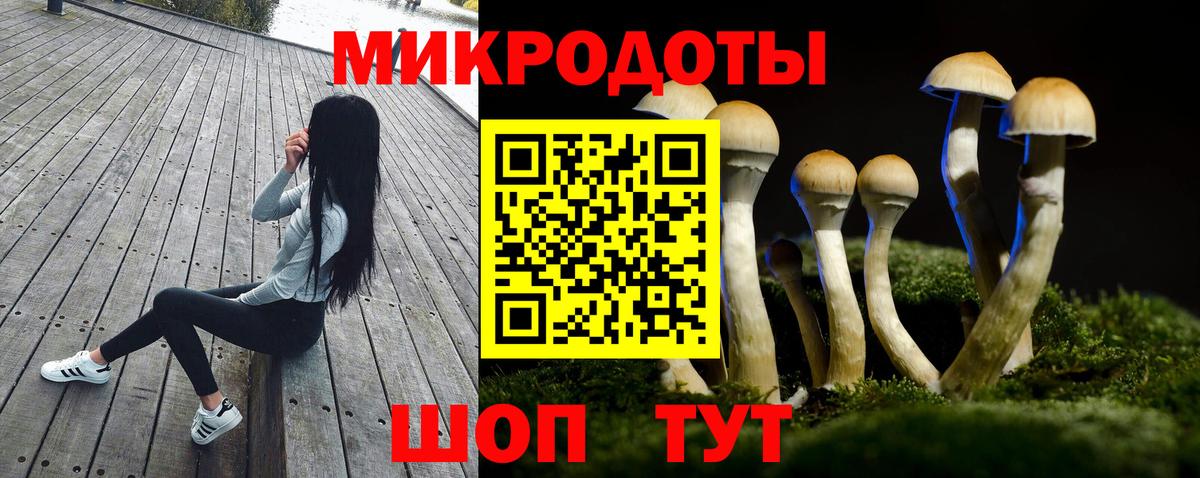 Артём  Псилоцибиновые грибы мухоморы  Вход с VPN 